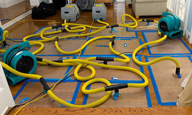 Professional Sewage Cleanup technician working in Utica, IN